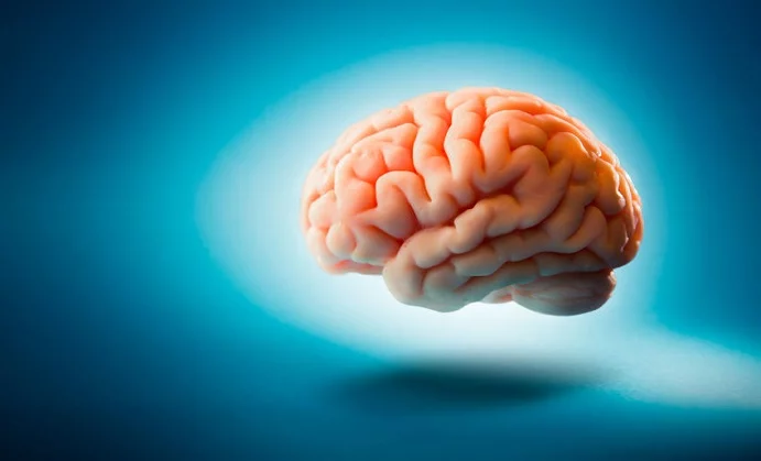 How Can CoQ10 Help Your Brain?